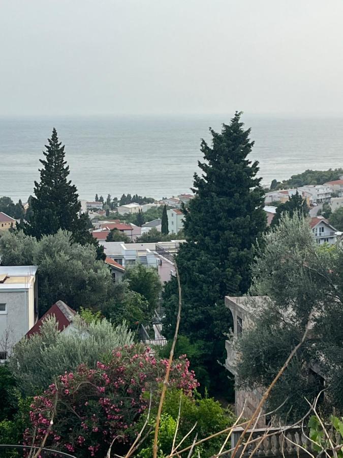 Seaadrik