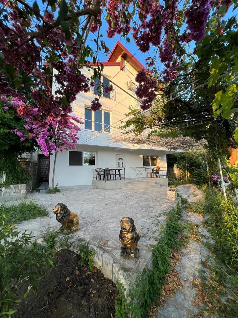 Seaadrik Apartment